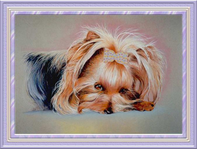 yorkshire_terrier_art2.jpg